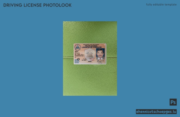 Nicaragua Führerschein 2019-heute Fotoansicht Beispielvorschau